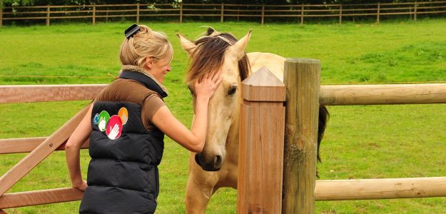 cheval-pre7 L'ostéopathe venant consulter le cheval dans son pré