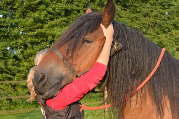 Thérapie crânio-sacrée