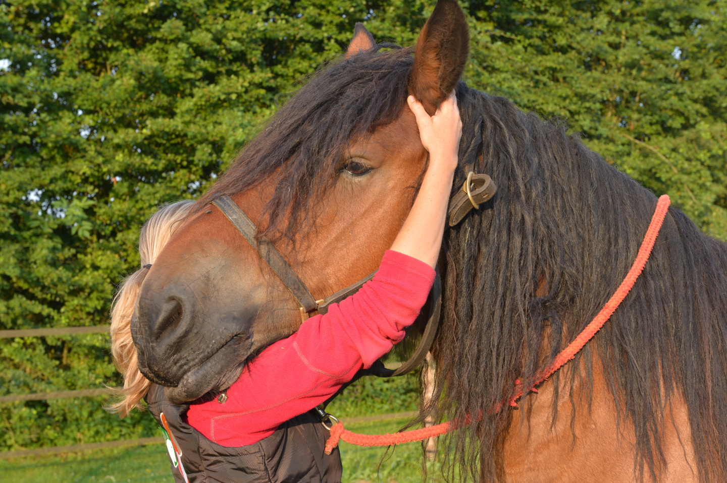 Thérapie crânio-sacrée
